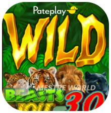 PATEPLAY6